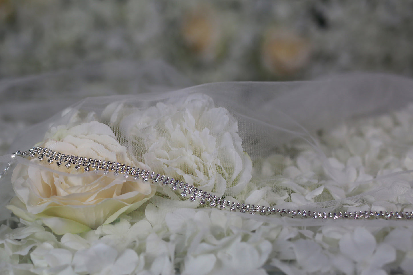 Belt012