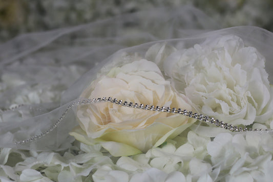 Belt013